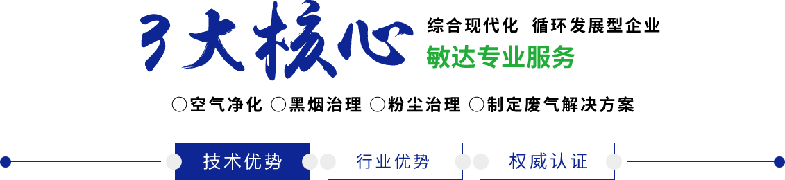 大奶骚婊子艹死你视频敏达环保科技（嘉兴）有限公司